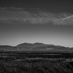 Landscapes